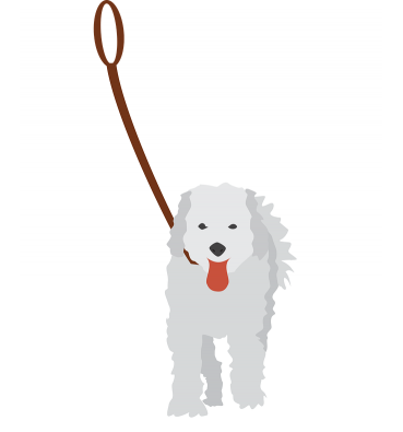 Dog leash 1,5 m